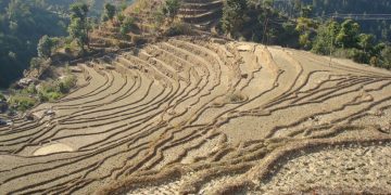 नेपालमा ३० प्रतिशत खेतीयोग्य जमिनमा मात्रै सिँचाइको व्यवस्था भएको तथ्यांक सार्वजनिक