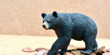 निरन्तर घट्दै सेयर बजार, लगानीकर्तामा  तनाव