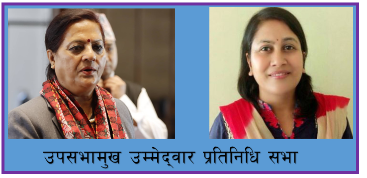 प्रतिनिधिसभाको रिक्त उपसभामुख पदका लागि आज निर्वाचन हुँदै