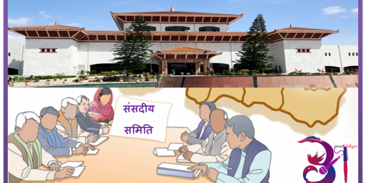 अर्थमन्त्री शर्मामाथि छानबिन गर्न ११ सदस्यीय संसदीय समिति गठन हुने
