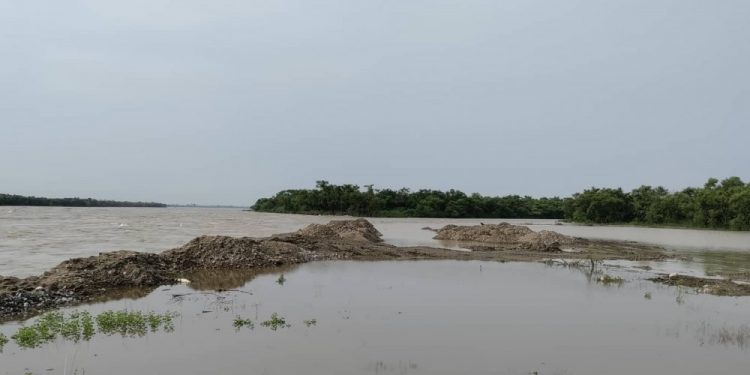 सप्तकोसी नदीले तटीय क्षेत्र कटान गरेर बस्तीमा पस्यो