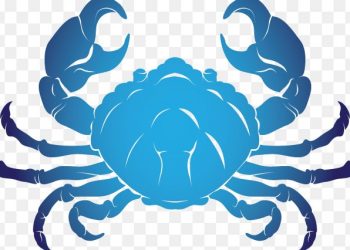 आजको राशिफल/२०७९ भाद्र ८ गते, बुधवार