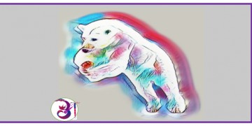 नेप्से परिसूचक घट्दो क्रममा