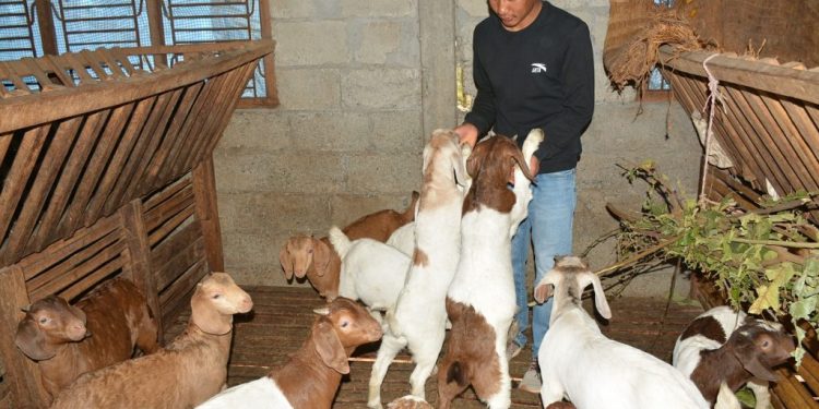 विदेशमा बगाउने जति पसिना नेपालमै बगाउन सकिए आम्दानी गर्न सकिन्छ