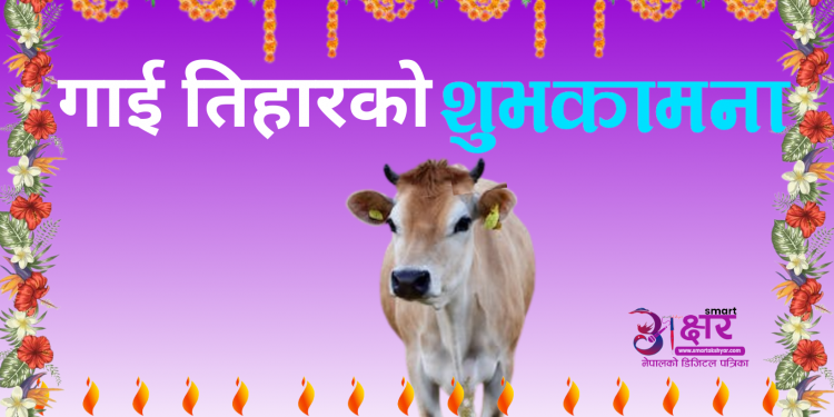 आज लक्ष्मीको प्रतीकस्वरूप गाईको पूजा गरिँदै
