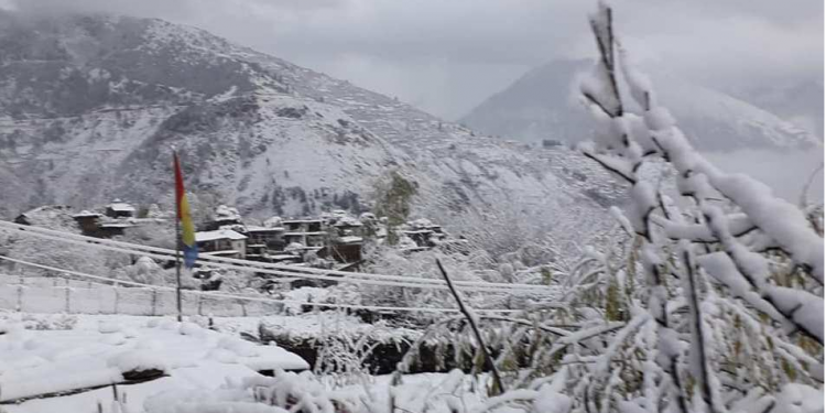 जुम्लामा हिमपात, किसान खुशी