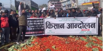 चितवनमा किसानद्वारा सडकमा तरकारी फालेर प्रदर्शन