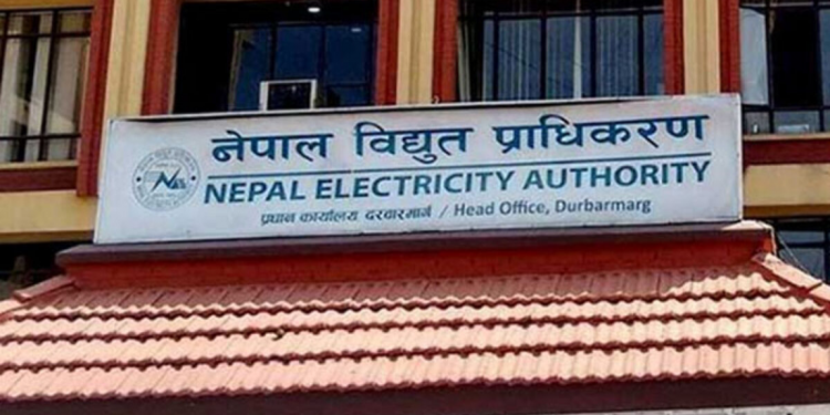 नेपाल विद्युत् प्राधिकरणका मिटर रिडरहरूकाे धर्ना, दैनिक ज्यालादारी बनाउनुपर्ने लगायत माग
