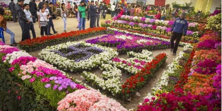 आजदेखि २४औँ फ्लोरा एक्स्पो, पुष्प व्यवसायको प्रवर्द्धन गर्ने मुख्य उद्देश्य