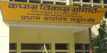 सरकारले कपास विकास समिति खारेज गर्ने भएपछि बाँके र बर्दियाका किसान चिन्तित