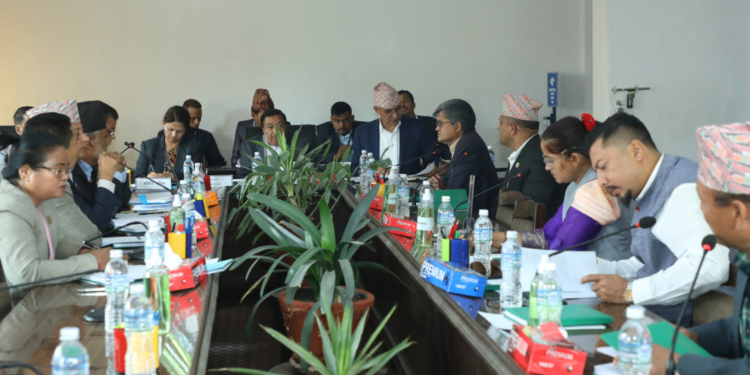 धितोपत्र ब्रोकर  कम्पनीलाई अनुमतिपत्र  दिन अर्थसमितिकाे सरकारलाई निर्देशन