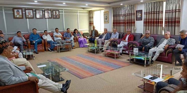 राप्रपाको केन्द्रीय कार्यसम्पादन समितिको बैठकले ७५३ स्थानीय तहमा नेतालाई जिम्मेवारी दिने निर्णय