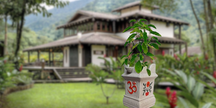 आज घरघरमा तुलसीको विरुवा रोपी हरिशयनी एकादशी मनाइँदै