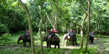 सौराहाका होटल व्यवसायी आशावादी, पर्यटकको उल्लेख्य उपस्थिति