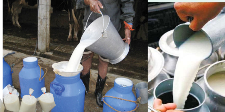 काठमाडौं महानगरपालिकाकाे ‘स्वच्छ भान्छा’ कार्यक्रम, खुला दूधबिक्री वितरण गर्न रोक लगाउने