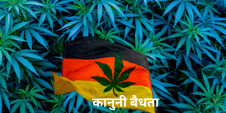 जर्मनीमा गाँजालाई वैधानिकता दिने तयारी