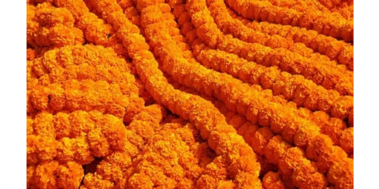 सरकारले फूलमा भ्याट लगाएका कारण यसपालि मालाको मूल्य बढ्ने