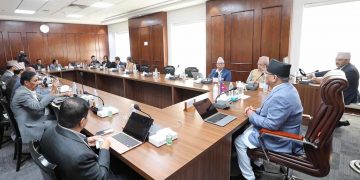 एनसेलको शेयर खरिदबिक्री सम्बन्धमा अध्ययन गर्न ५ सदस्यीय उच्चस्तरीय समिति गठन