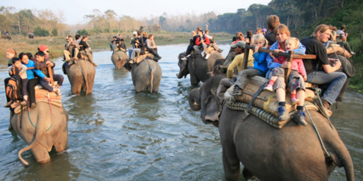 सौराहामा हात्ती तथा पर्यटन महोत्सव