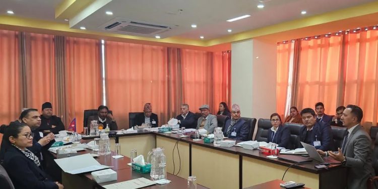 आउँदो आर्थिक वर्षदेखि ‘आन्तरिक रोजगार प्रवर्द्धन दशक अभियान’ सञ्चालन हुने