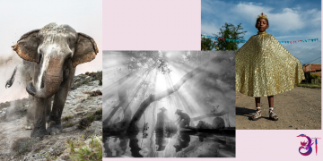  ‘सोनी विश्व फोटोग्राफी अवार्ड–२०२४’ को विजेता नेपालकाे तस्वीर