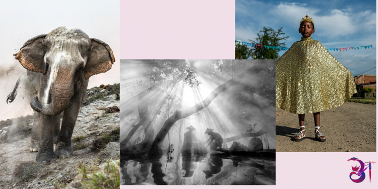  ‘सोनी विश्व फोटोग्राफी अवार्ड–२०२४’ को विजेता नेपालकाे तस्वीर