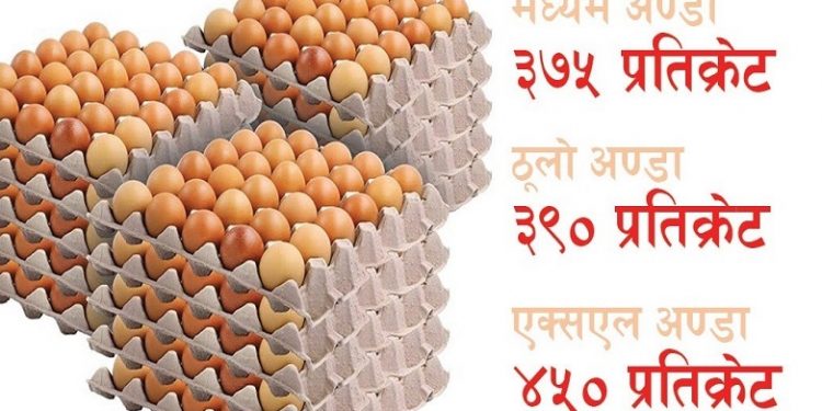 अण्डाको नयाँ विक्री मूल्य निर्धारण