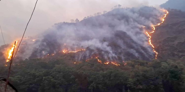 डढेलो र आगलागीका घटना बढ्यो, छिटपुटबाहेक तत्काल ठूलो पानी नपर्ने