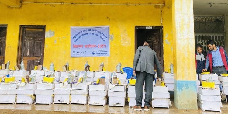 ‘पढ्दै कमाउँदै कार्यक्रम’ : विद्यार्थीलाई तरकारीको बीउ र मौरीसहितका घार वितरण